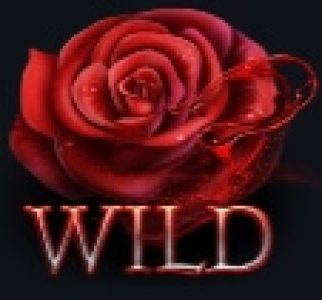 REDROSE SANCTUARY BONUS BUY Evoplay Slotxo24